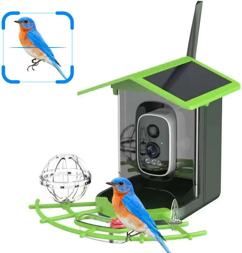 Real Time Bird watching WIFI A - A1 Watches & Jewelry New York Photos recension och pris